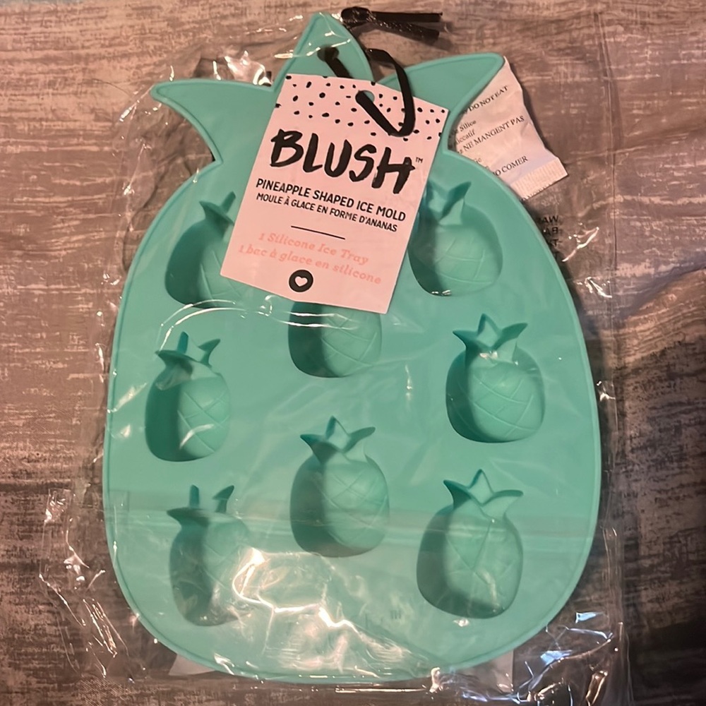 Brand new Blush Pineapple ice cube mold
